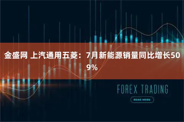 金盛网 上汽通用五菱：7月新能源销量同比增长509%