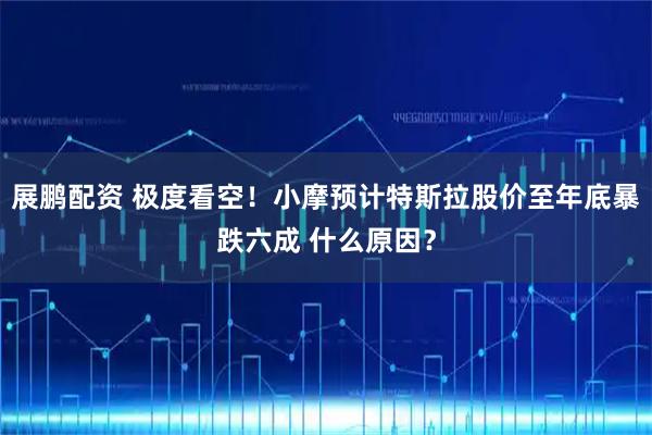 展鹏配资 极度看空!小摩预计特斯拉股价至年底暴跌六成 什么原因?