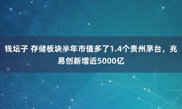 钱坛子 存储板块半年市值多了1.4个贵州茅台，兆易创新增近5000亿